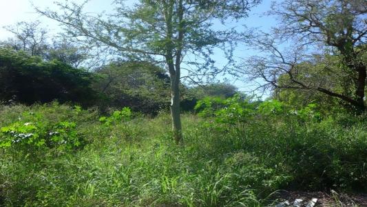 Komatipoort, 음봄벨라, 남아프리카