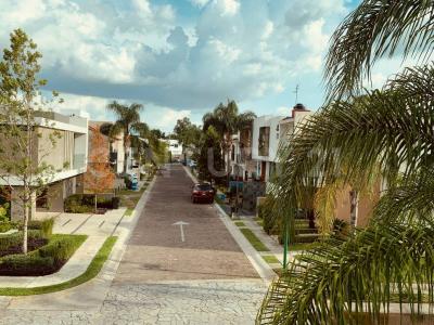 Jardín De La Diligencia 237,, Zapopan, Jalisco 45136, Mexico
