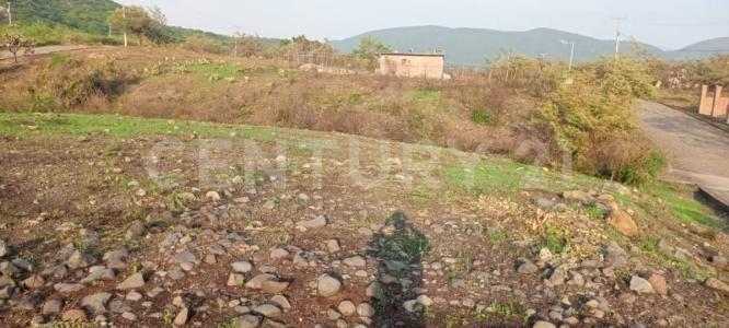 Paseo El Chaparral 4 1-2,, Tepexco, Puebla 74550, México