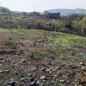 Paseo El Chaparral 4 1-2,, Tepexco, Puebla 74550, México