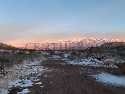 PANAMERICANA , Luján De Cuyo, Mendoza 5507, Argentina