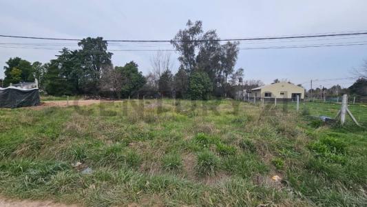 Exaltación De La Cruz, GBA Norte B2812, Argentina