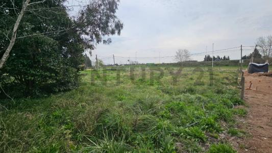 Exaltación De La Cruz, GBA Norte B2812, Argentina