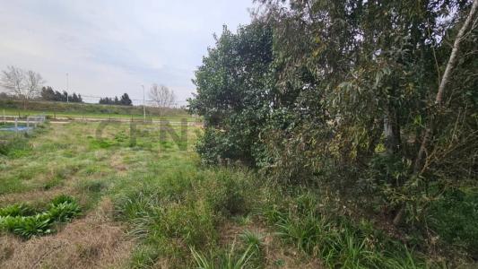 Exaltación De La Cruz, GBA Norte B2812, Argentina