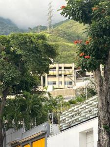 Caracas, Miranda 1060, 委内瑞拉