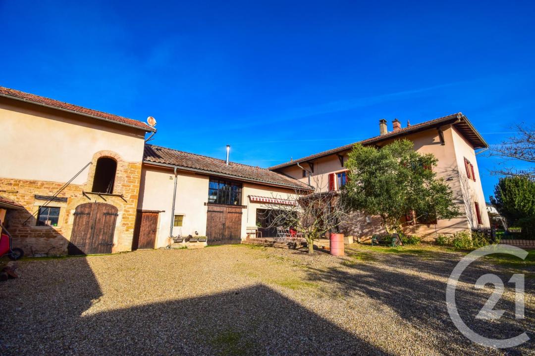 Fareins, Rodano-Alpi 01480, Francia