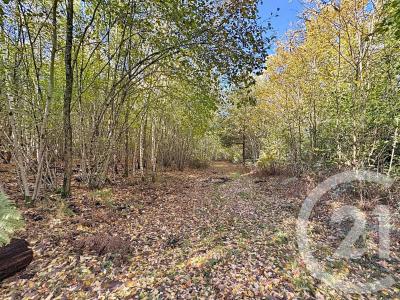 Souesmes, Centre-Val De Loire 41300, France