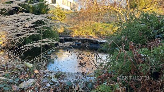 Příbor, Nový Jičín 100 00, צ'כיה 