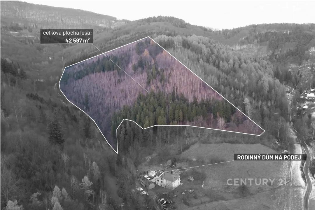 Nýdek, Frýdek-Místek 100 00, Czech Republic