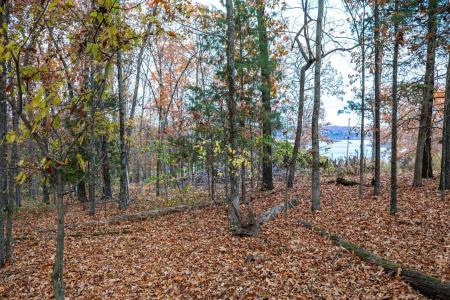 Tbd Whispering Hill Drive, Blue Eye, Missouri 65611, Amerika Birleşik Devletleri