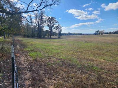 TBD CR 4230, Mt Pleasant, 德克薩斯州 75455, 美國