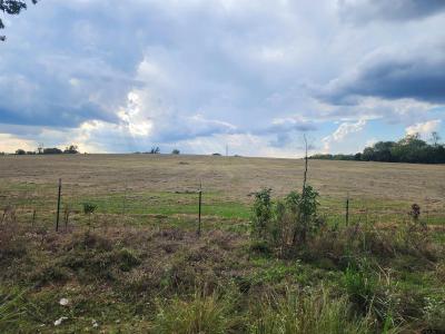 TBD CR 4230, Mt Pleasant, 德克薩斯州 75455, 美國