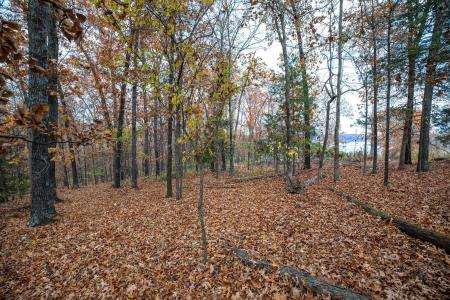 Tbd Whispering Hill Drive, Blue Eye, ميسوري 65611, الولايات المتحدة