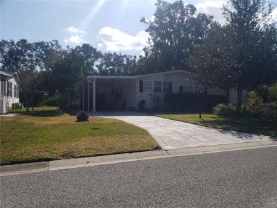 5009 EL DESTINO DRIVE, LEESBURG, Floryda 34748, USA
