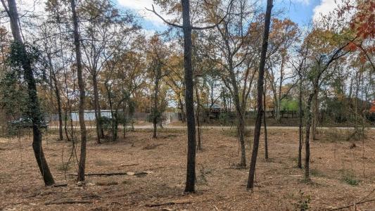 000 Neeley, Benton, Arkansas 72015