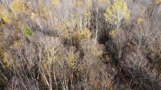 2098 Kinney Hill Road, Newark, Vermont 05871