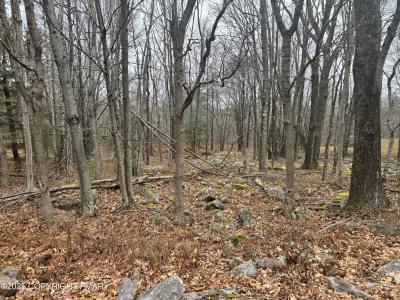 Crest View Dr 45 aka Birch, Blakeslee, Pennsylvania 18610, USA