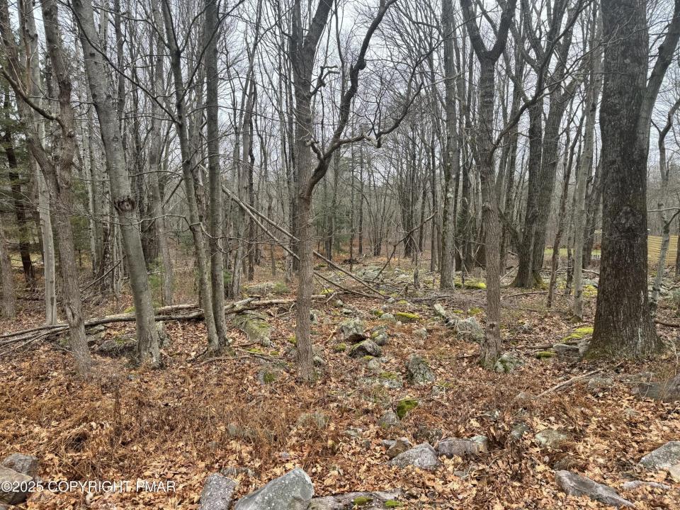 Crest View Dr 45 aka Birch, Blakeslee, Pennsylvania 18610