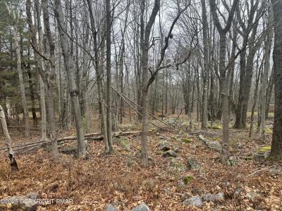 Crest View Dr 45 aka Birch, Blakeslee, Pennsylvania 18610