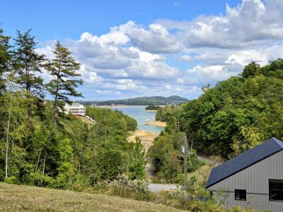 220 Pheasant Ct, Sevierville, Теннесси 37876, Соединенные Штаты