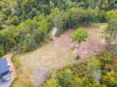 220 Pheasant Ct, Sevierville, Теннесси 37876, Соединенные Штаты