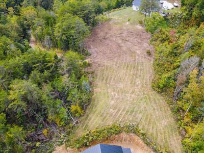 220 Pheasant Ct, Sevierville, Теннесси 37876, Соединенные Штаты