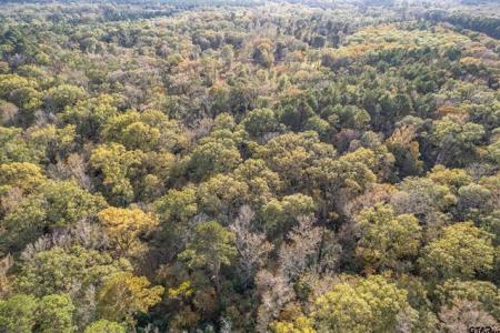 20304 N Hwy 155, Winona, Техас 75792, Соединенные Штаты