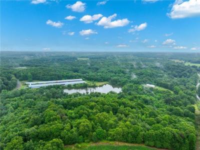 384 Freedom Church Road, Royston, Georgia 30662, USA