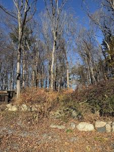 3 Laurel Place, Amesbury, 麻薩諸塞州 01913, 美國