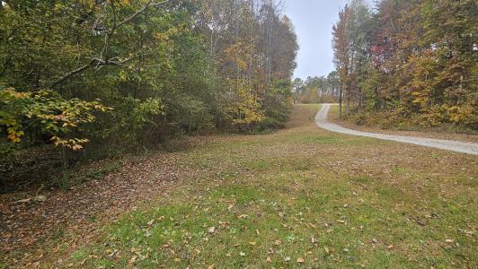 273 Henry Bidwell Lane, Decatur, Tennessee 37322, États-Unis