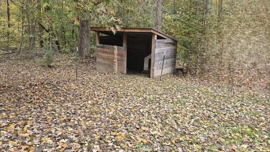 273 Henry Bidwell Lane, Decatur, Tennessee 37322, États-Unis