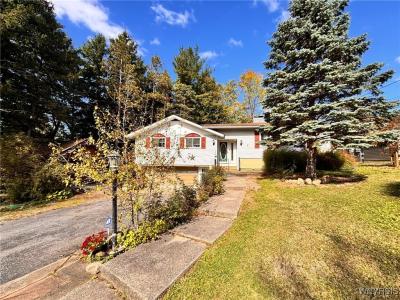 1700 Southwestern Boulevard, West Seneca, 纽约州 14224, 美国