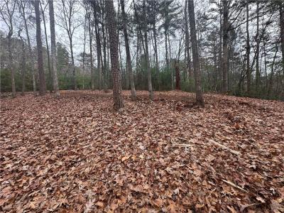 0 Roaring Forks Lane, Ellijay, Géorgie 30540, États-Unis