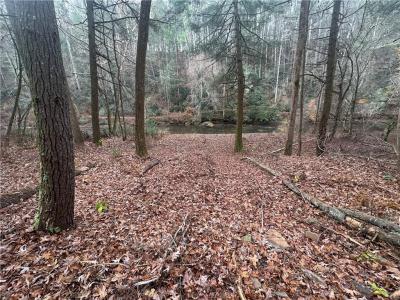 0 Roaring Forks Lane, Ellijay, Géorgie 30540, États-Unis