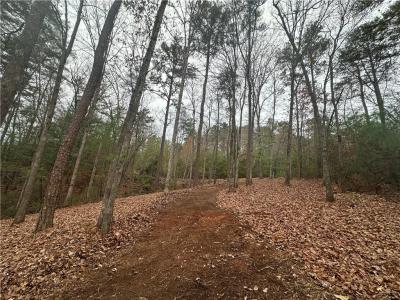 0 Roaring Forks Lane, Ellijay, Géorgie 30540, États-Unis