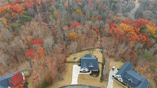 115 Brighton Road, Ball Ground, Geórgia 30107, Estados Unidos