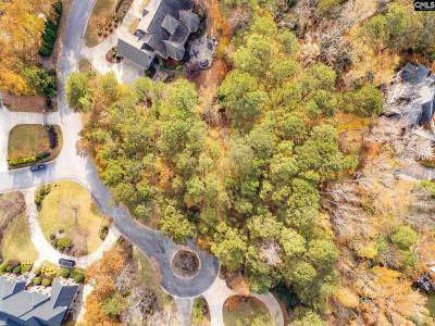 203 Beaver Lake Drive, Elgin, דרום קרוליינה 29045, ארצות הברית של אמריקה