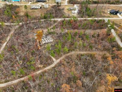 001 HORNPIPE AVENUE, Briarcliff, 阿肯色州 72653, 美國