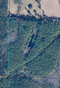 5 Canopy Oaks Blvd, Bonifay, Florida 32425, USA