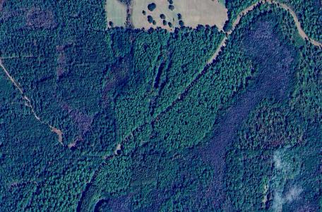 5 Canopy Oaks Blvd, Bonifay, Flórida 32425, Estados Unidos