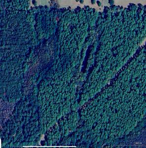 5 Canopy Oaks Blvd, Bonifay, Flórida 32425, Estados Unidos