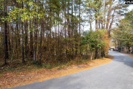 0000 Herbert, Columbia, 南卡羅來納州 29203, 美國