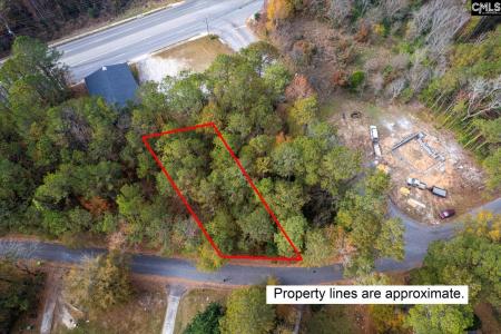 0000 Herbert, Columbia, 南卡羅來納州 29203, 美國