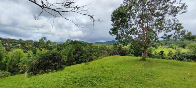 Bijagual Carara Turrubáres, San José 61105, 哥斯達尼加