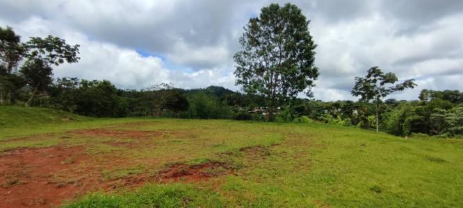 Bijagual Carara Turrubáres, San José 61105, コスタリカ