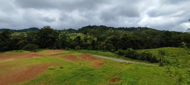 Bijagual Carara Turrubáres, San José 61105, コスタリカ