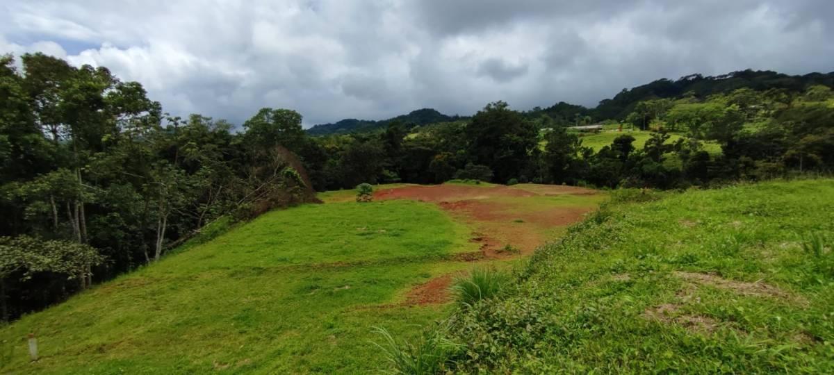 San Juan De Mata Turrubáres, San José 61105, كوستاريكا 