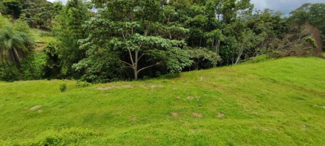 San Juan De Mata Turrubáres, San José 61105, كوستاريكا 