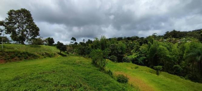 San Juan De Mata Turrubáres, San José 61105, كوستاريكا 