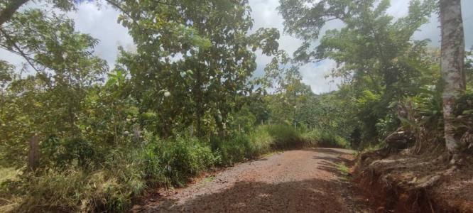 Bijagual Carara Turrubáres, San José 61105, 哥斯達尼加